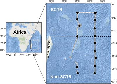 Sound Scattering Layers Within and Beyond the Seychelles-Chagos Thermocline Ridge in the Southwest Indian Ocean